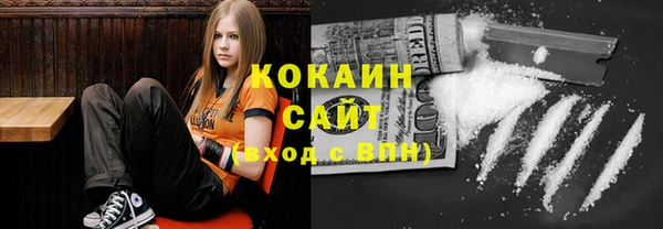 ПСИЛОЦИБИНОВЫЕ ГРИБЫ Строитель