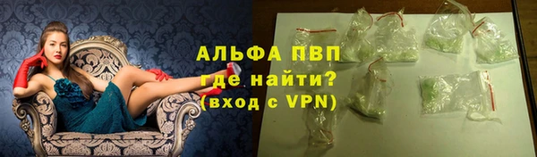 ПСИЛОЦИБИНОВЫЕ ГРИБЫ Строитель