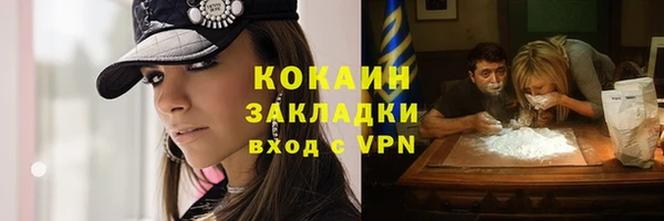 ПСИЛОЦИБИНОВЫЕ ГРИБЫ Строитель