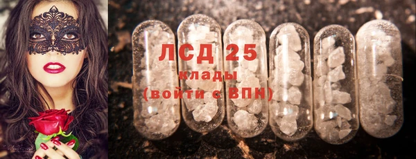 ПСИЛОЦИБИНОВЫЕ ГРИБЫ Строитель