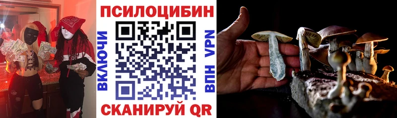 сколько стоит  Бронницы  Псилоцибиновые грибы ЛСД 